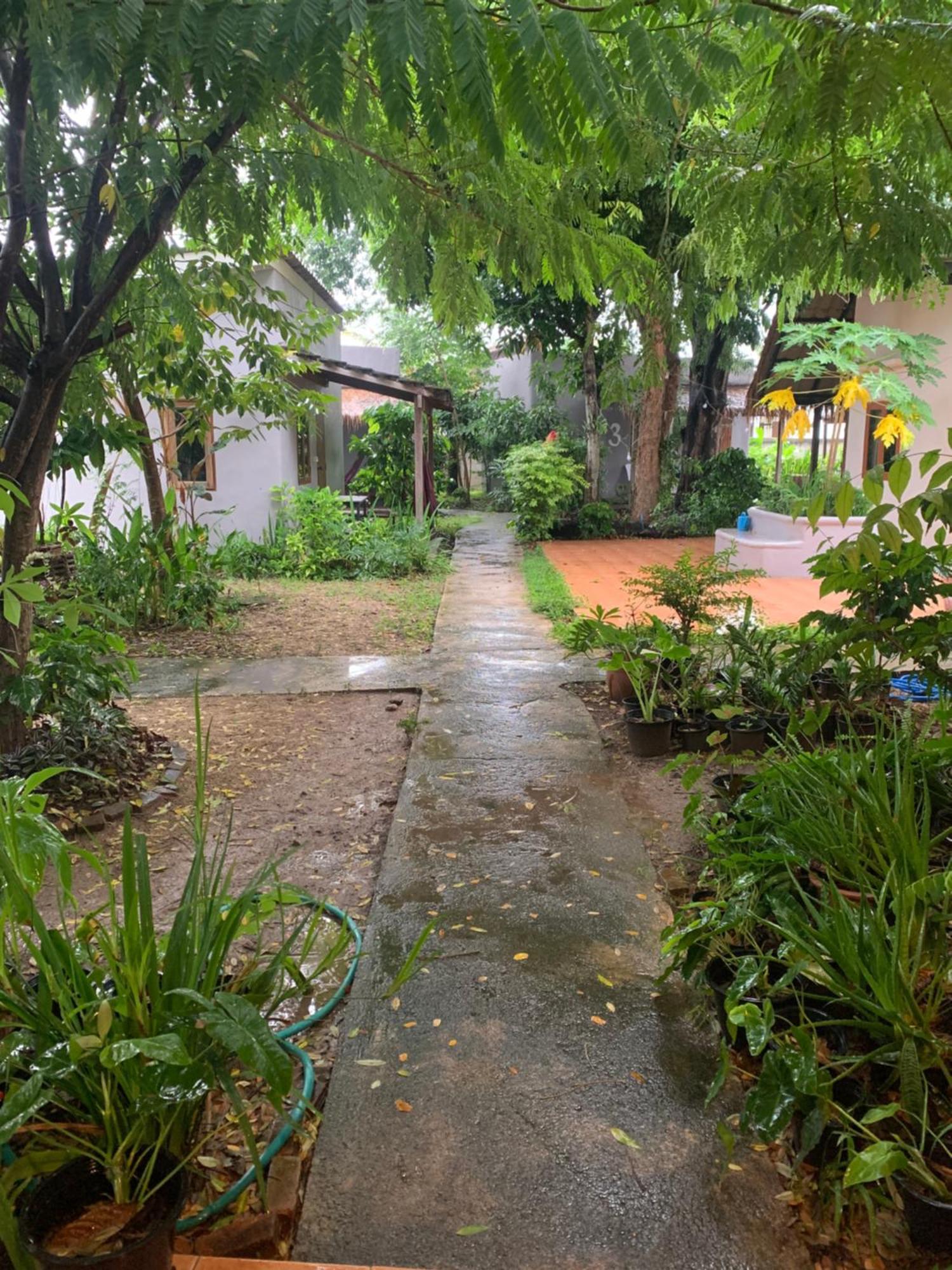 บ้านใจแปงโฮมสเตย์ Ban Jaipang Homestay Pai Eksteriør bilde